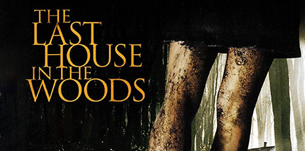 The last house in the woods (2006)