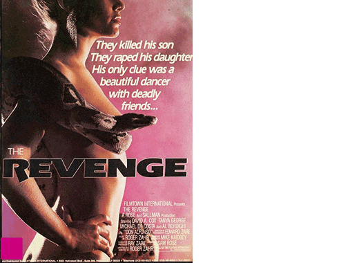 Extreme Vengeance (1990)