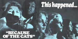 Because of the Cats (1973)