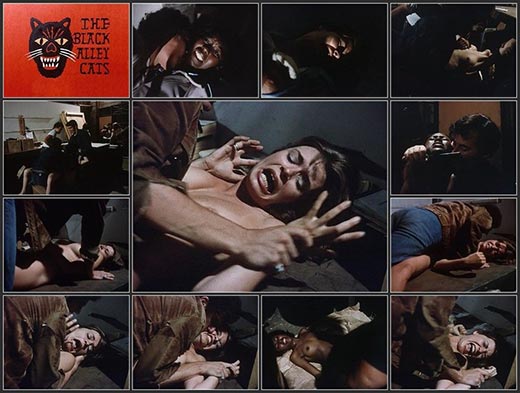 The Black Alley Cats (1973)